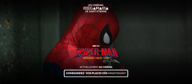 Spider