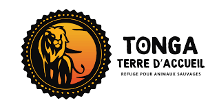 Tonga 2