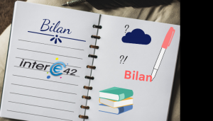 Bilan